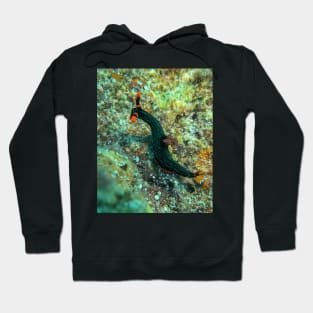 Nembrotha kubaryana nudibranch Hoodie